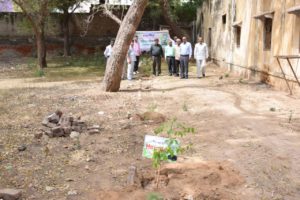 Plantation Programme at PARDB Mahendergardh