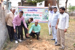 Plantation Programme at PARDB Mahendergardh