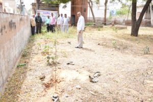 Plantation Programme at PARDB Mahendergardh