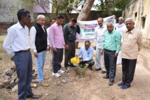 Plantation Programme at PARDB Mahendergardh