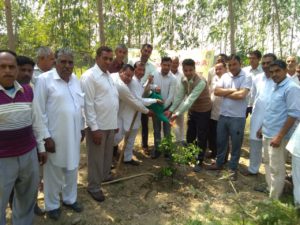 Tree Plantation at The Radaur PACS on Dated 28.03.2019