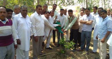 Tree Plantation at The Radaur PACS on Dated 28.03.2019