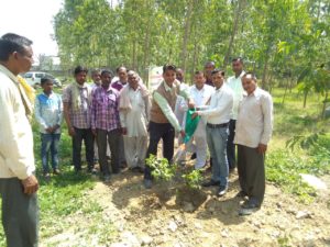 Tree Plantation at The Radaur PACS on Dated 28.03.2019