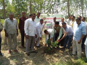 Tree Plantation at The Radaur PACS on Dated 28.03.2019