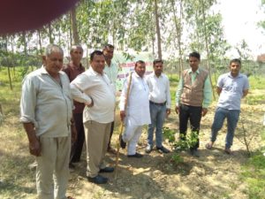 Tree Plantation at The Radaur PACS on Dated 28.03.2019
