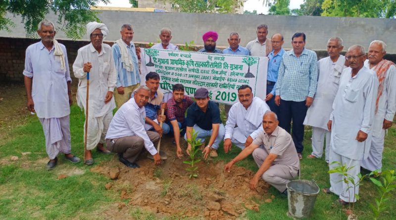 Tree Plantation Program in MUANAThe PACS